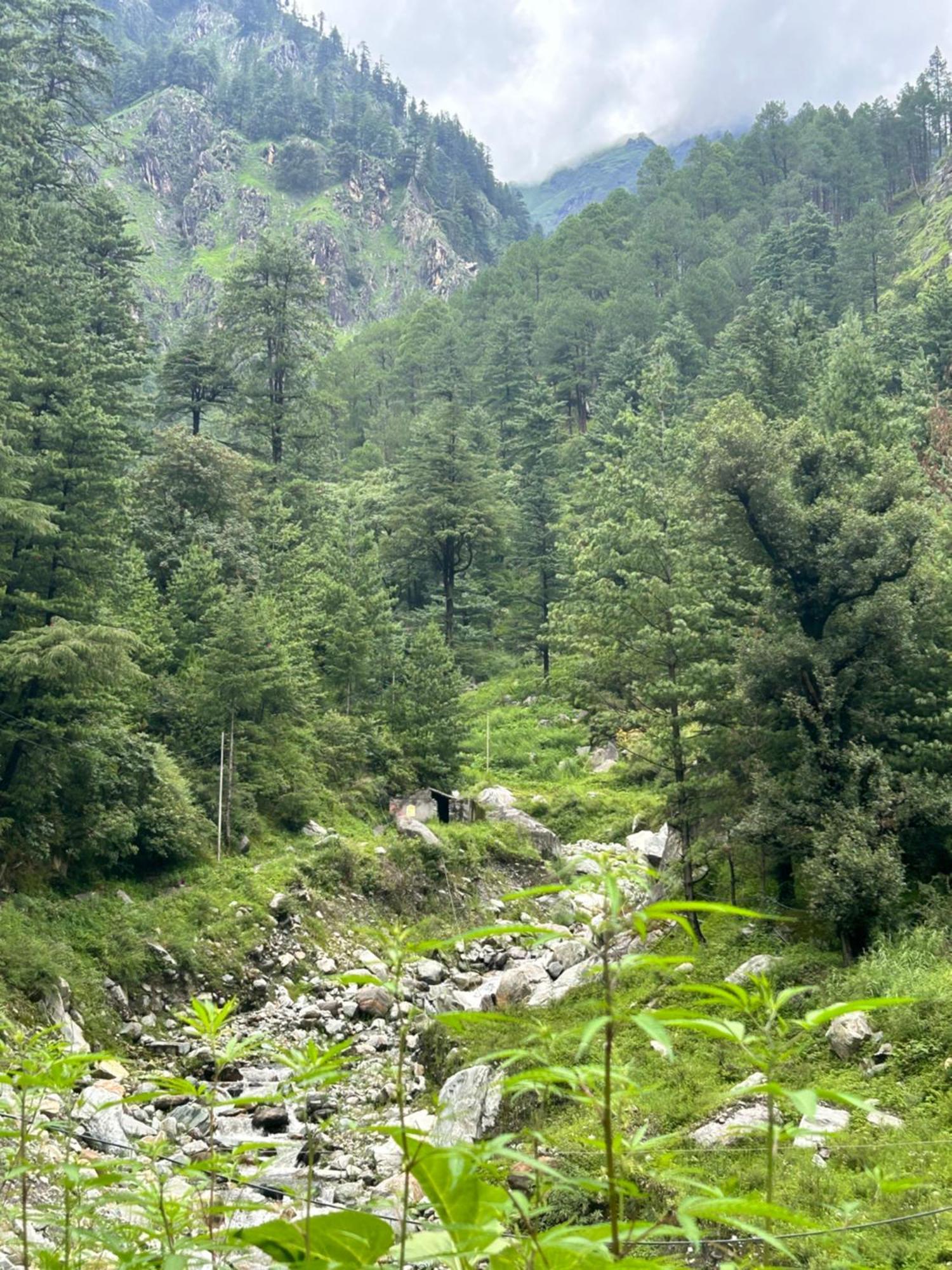 Formosa Hostel & Cafe Kasol Zewnętrze zdjęcie